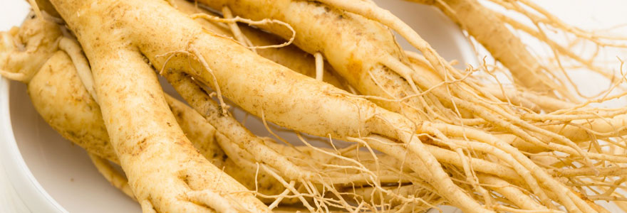 propriétés du Ginseng